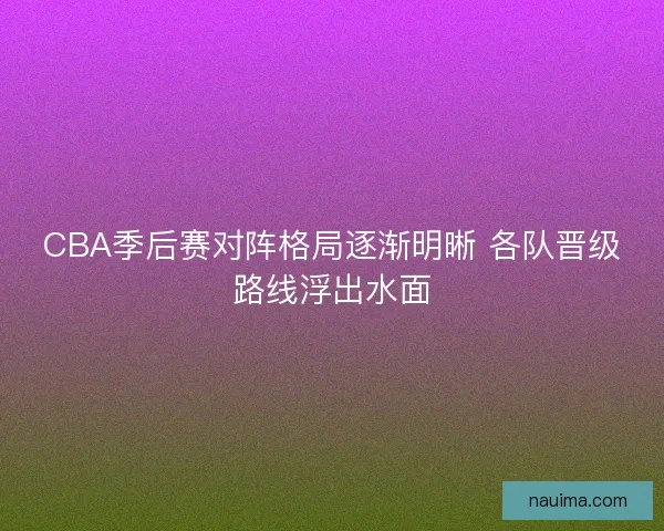CBA季后赛对阵格局逐渐明晰 各队晋级路线浮出水面