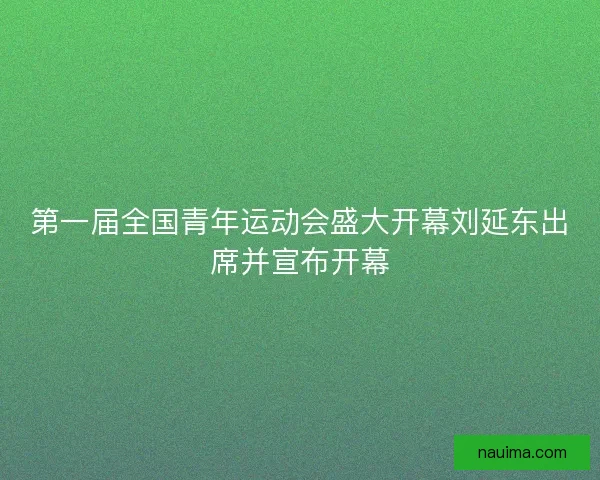第一届全国青年运动会盛大开幕刘延东出席并宣布开幕
